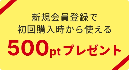 新規会員登録で初回購入時から使える500ptプレゼント