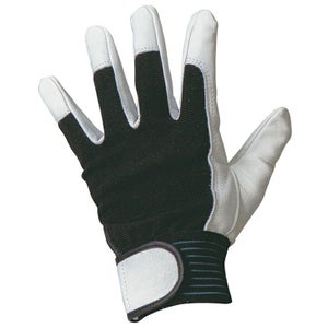 AG043 山羊甲メリクレストマジック