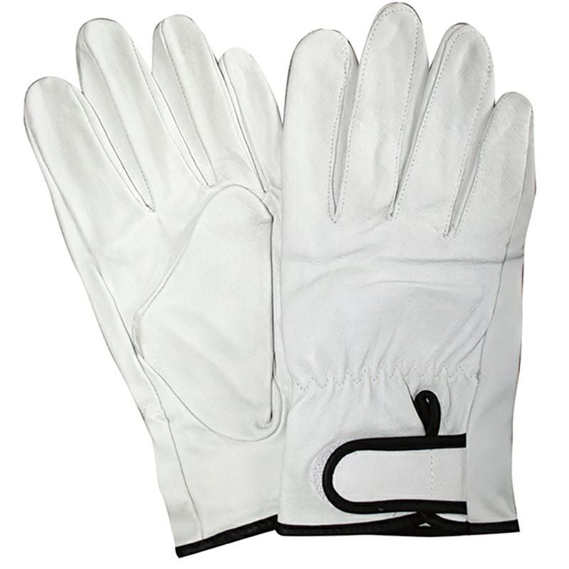 350 豚クレストマジック