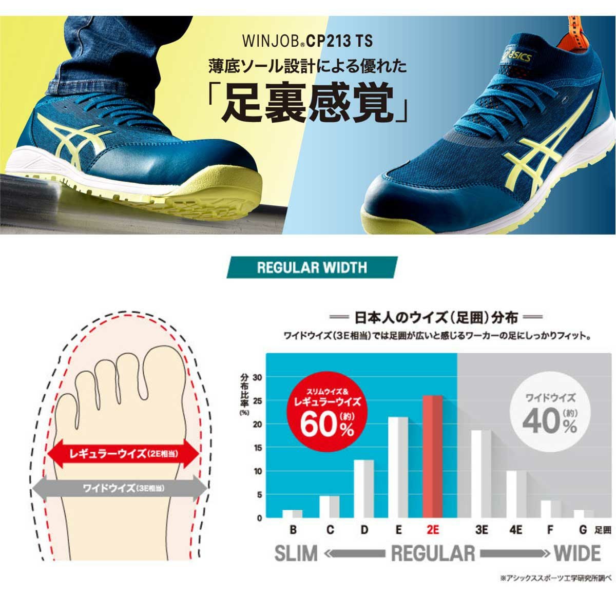 アシックス【asics】1271A052 WINJOB CP213 TS - たまゆら公式通販