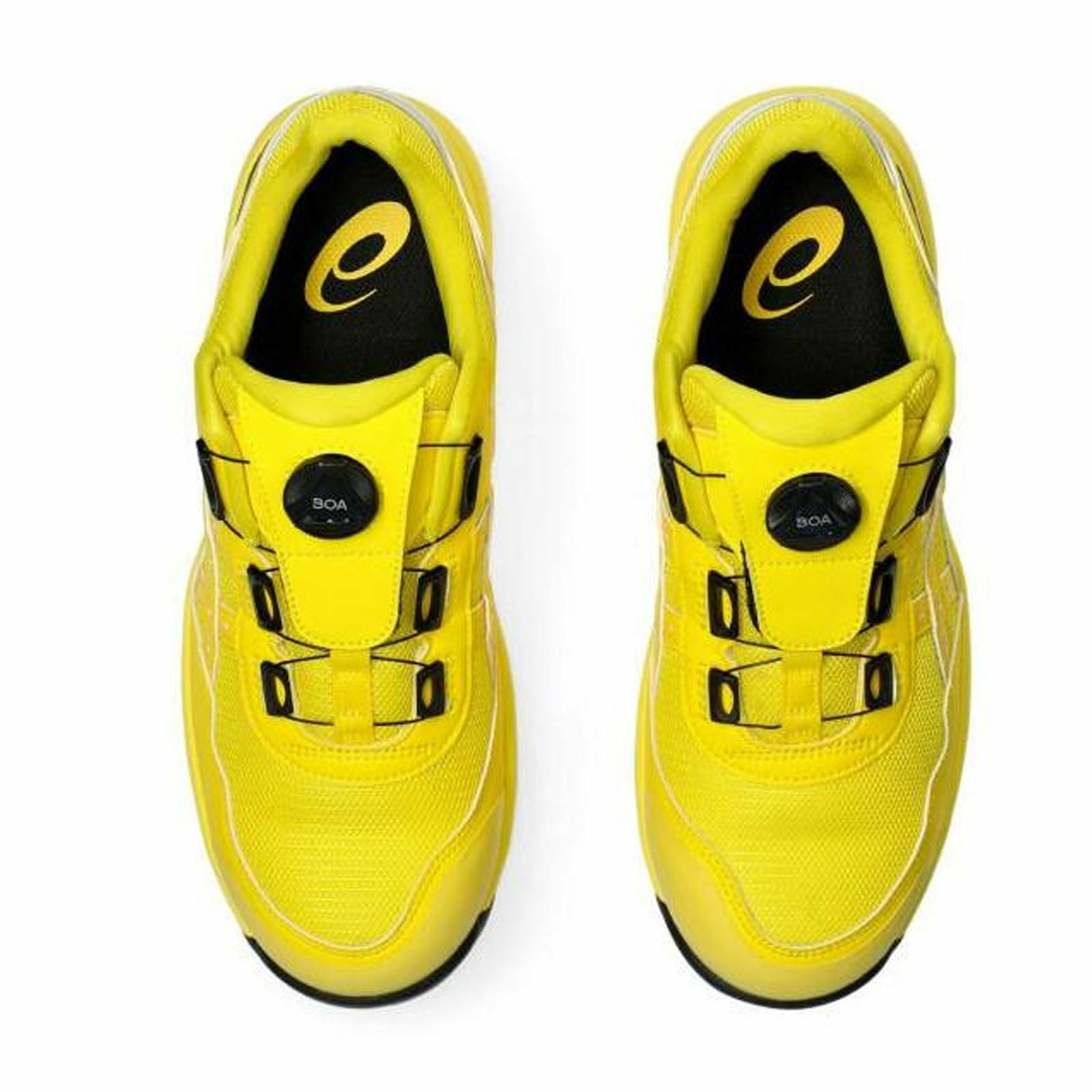 アシックス【asics】 アシックス WINJOB CP209 BOA(限定品) 1271A029